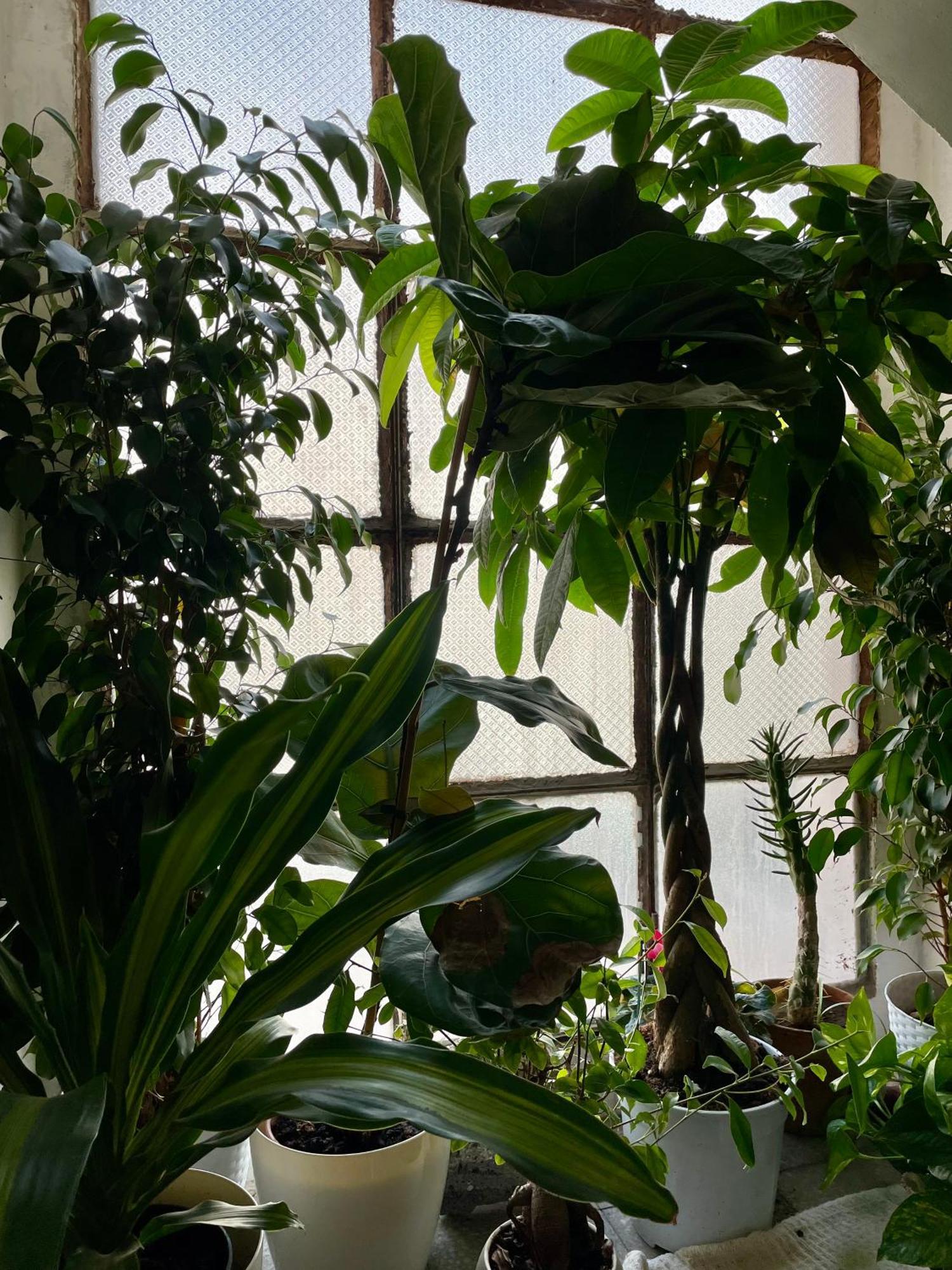 Lorenzo'S House Catania City Centre - Comfortable Large Apartment With 2 Bedrooms And 2 Baths, Close To Trains, Metro And Bus Station Buitenkant foto
