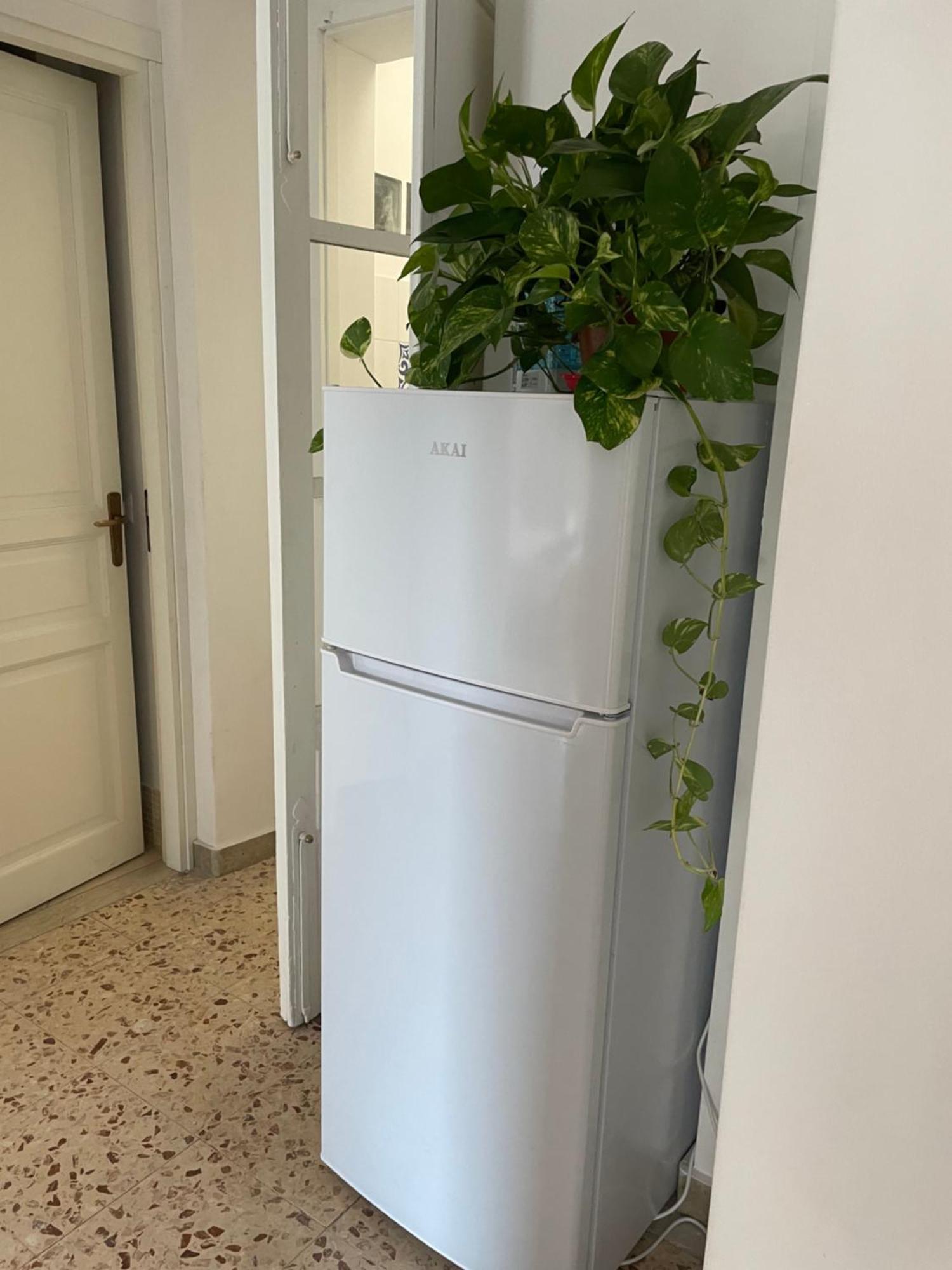 Lorenzo'S House Catania City Centre - Comfortable Large Apartment With 2 Bedrooms And 2 Baths, Close To Trains, Metro And Bus Station Buitenkant foto